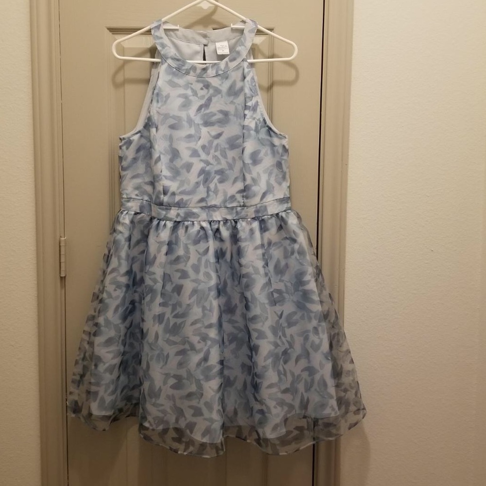 Disney Cinderella Dress